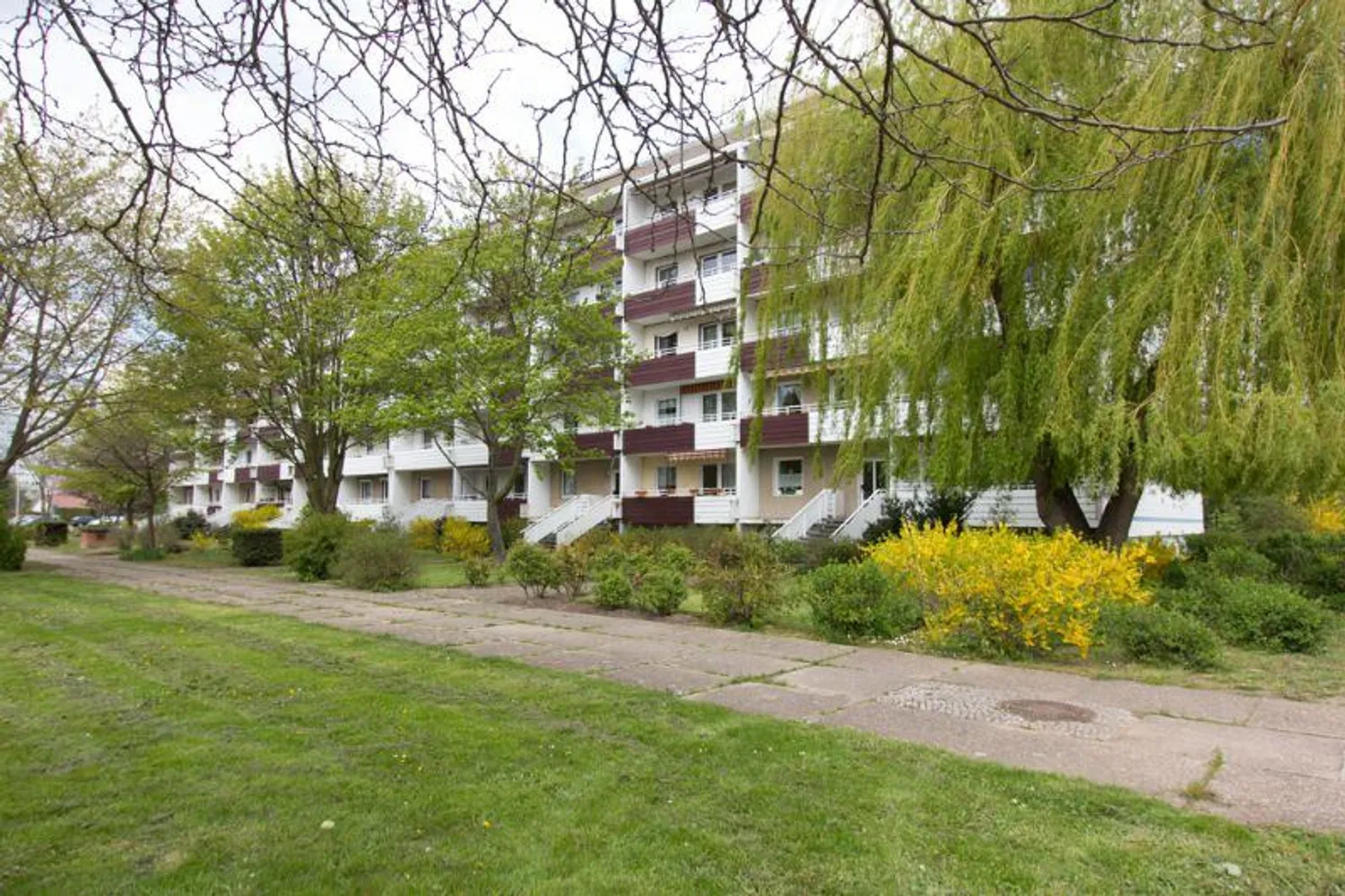 2 room apartment with 56 m² in Magdeburg – Photo 2