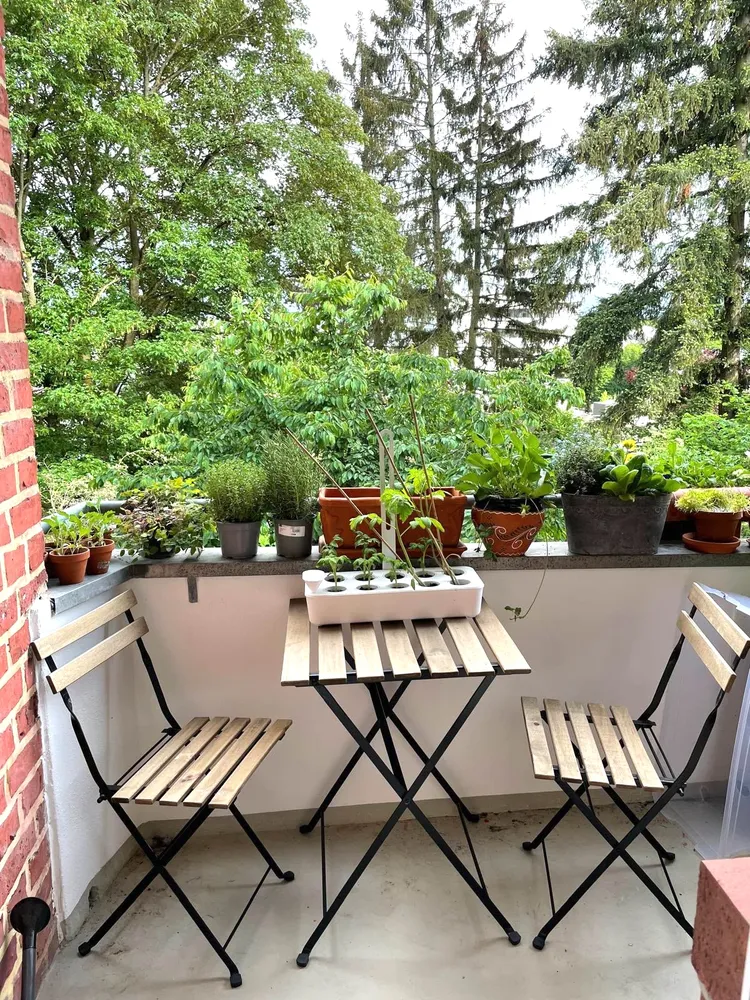 3 Zimmer Wohnung mit 76 m² in Aachen – Bild 9