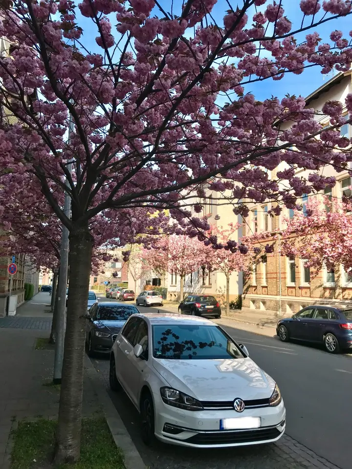 3 Zimmer Wohnung mit 74 m² in Braunschweig – Bild 4