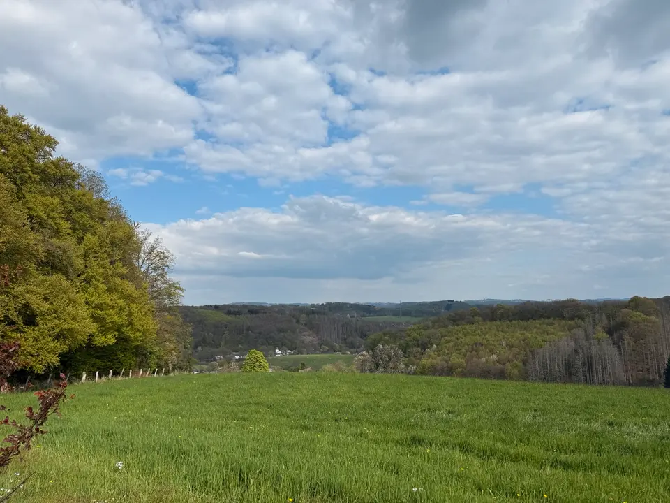 6 Zimmer Haus mit 190 m² in Bergisch Gladbach – Bild 4