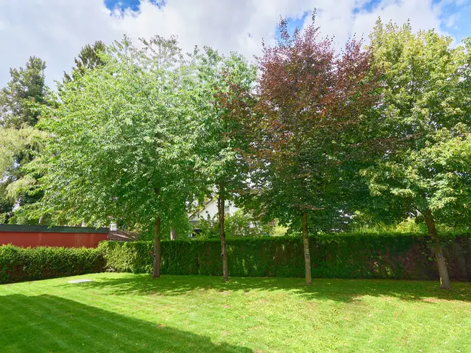 4 Zimmer Wohnung mit 181 m² in München – Bild 11