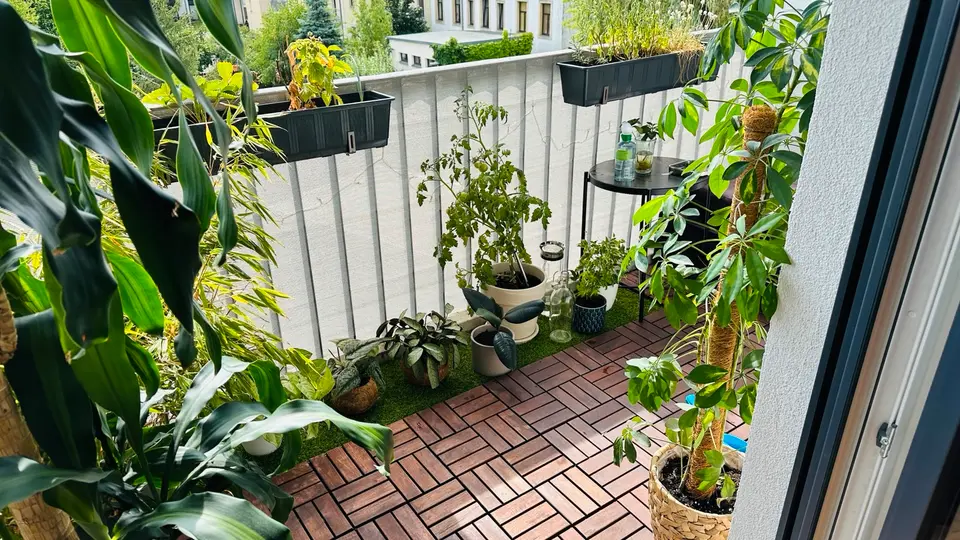 2 Zimmer Wohnung mit 47 m² in Dresden – Bild 4