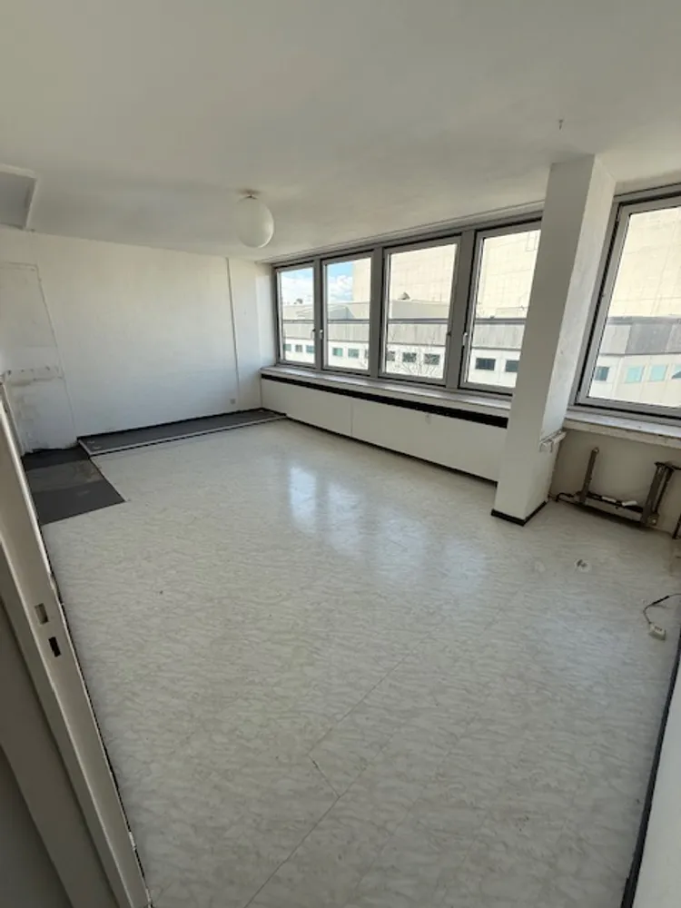 2 Zimmer Wohnung mit 52 m² in Ludwigshafen am Rhein – Bild 3