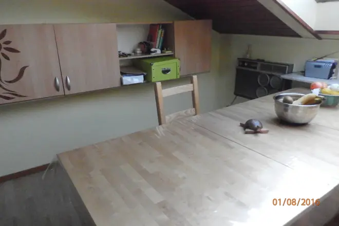 2 Zimmer Wohnung mit 54 m² in Karlsruhe – Bild 3