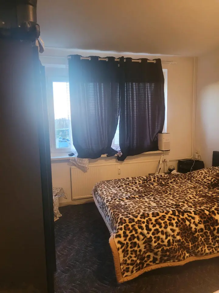 3 room apartment with 62 m² in Neubrandenburg – Photo 6