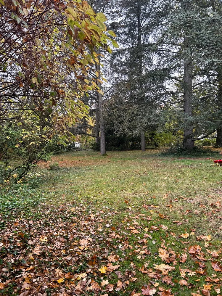 6 Zimmer Wohnung mit 200 m² in Wiesbaden – Bild 4