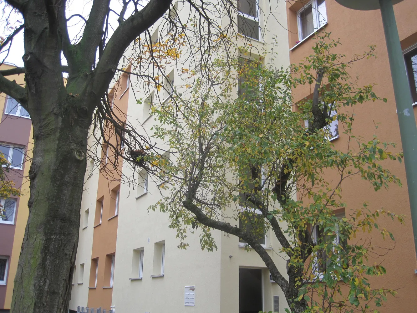 3 Zimmer Wohnung mit 74 m² in Leipzig – Bild 1