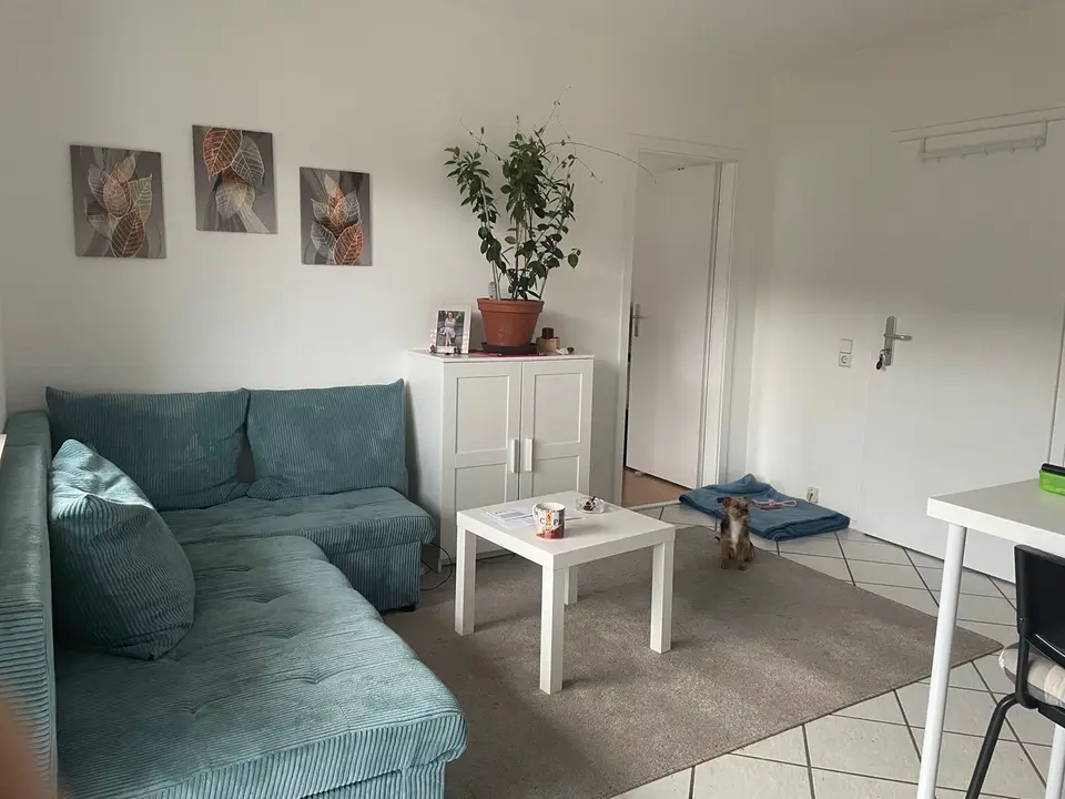 2 Zimmer Wohnung mit 36 m² in Calw – Bild 3