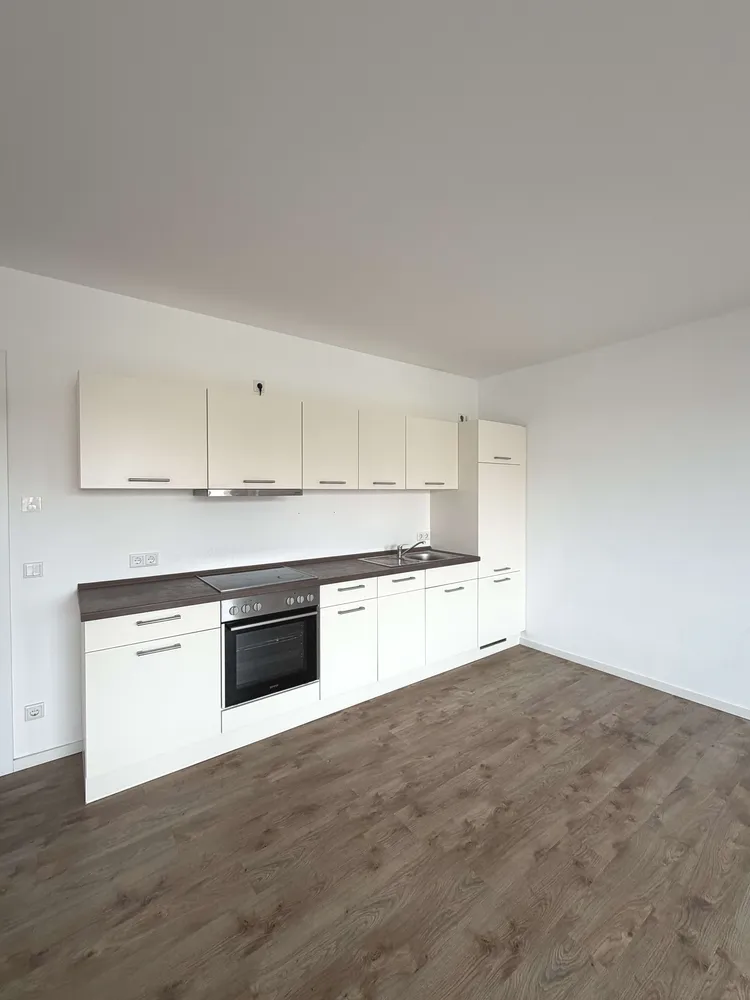 2 Zimmer Wohnung mit 50 m² in Dresden – Bild 3