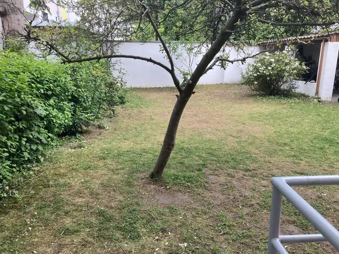 3 Zimmer Wohnung mit 70 m² in Nürnberg – Bild 6