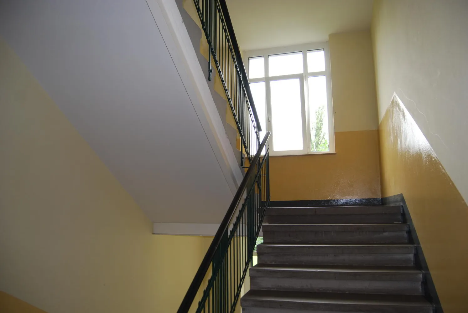 2 Zimmer Wohnung mit 44 m² in Dresden – Bild 5