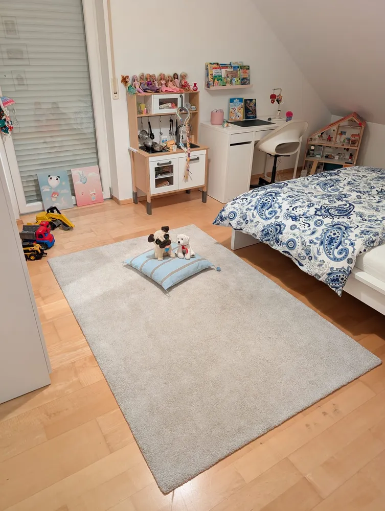 5 Zimmer Haus mit 164 m² in Waldshut-Tiengen – Bild 8