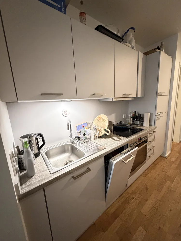2 room apartment with 49 m² in Dresden – Photo 4