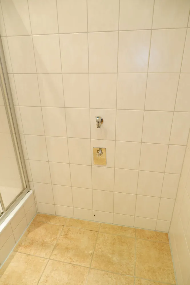 2 Zimmer Wohnung mit 51 m² in Chemnitz – Bild 4