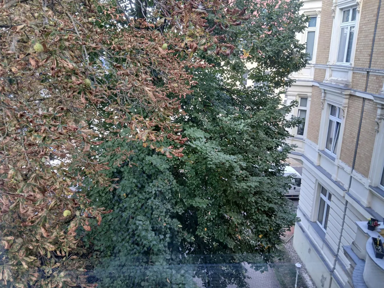 2 Zimmer Wohnung mit 64 m² in Magdeburg – Bild 1