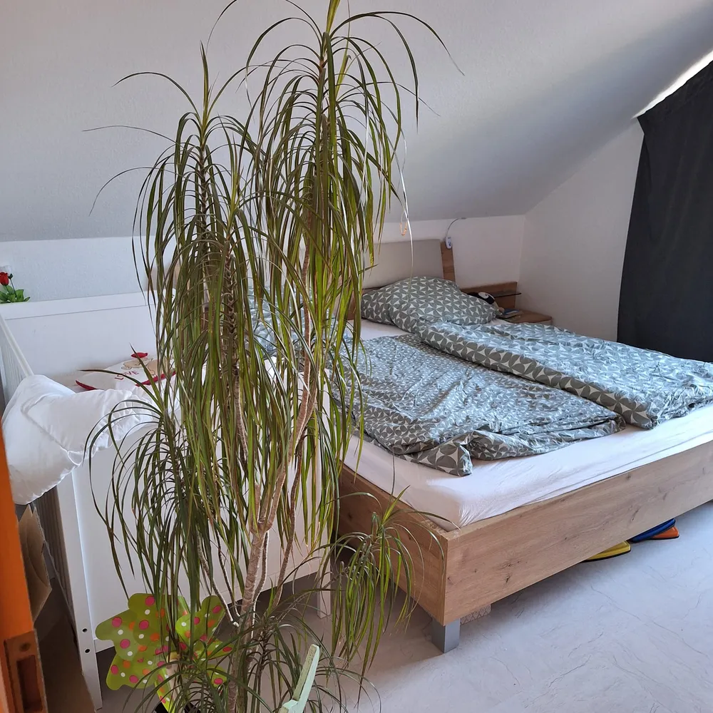 4 room apartment with 100 m² in Bensheim – Photo 8
