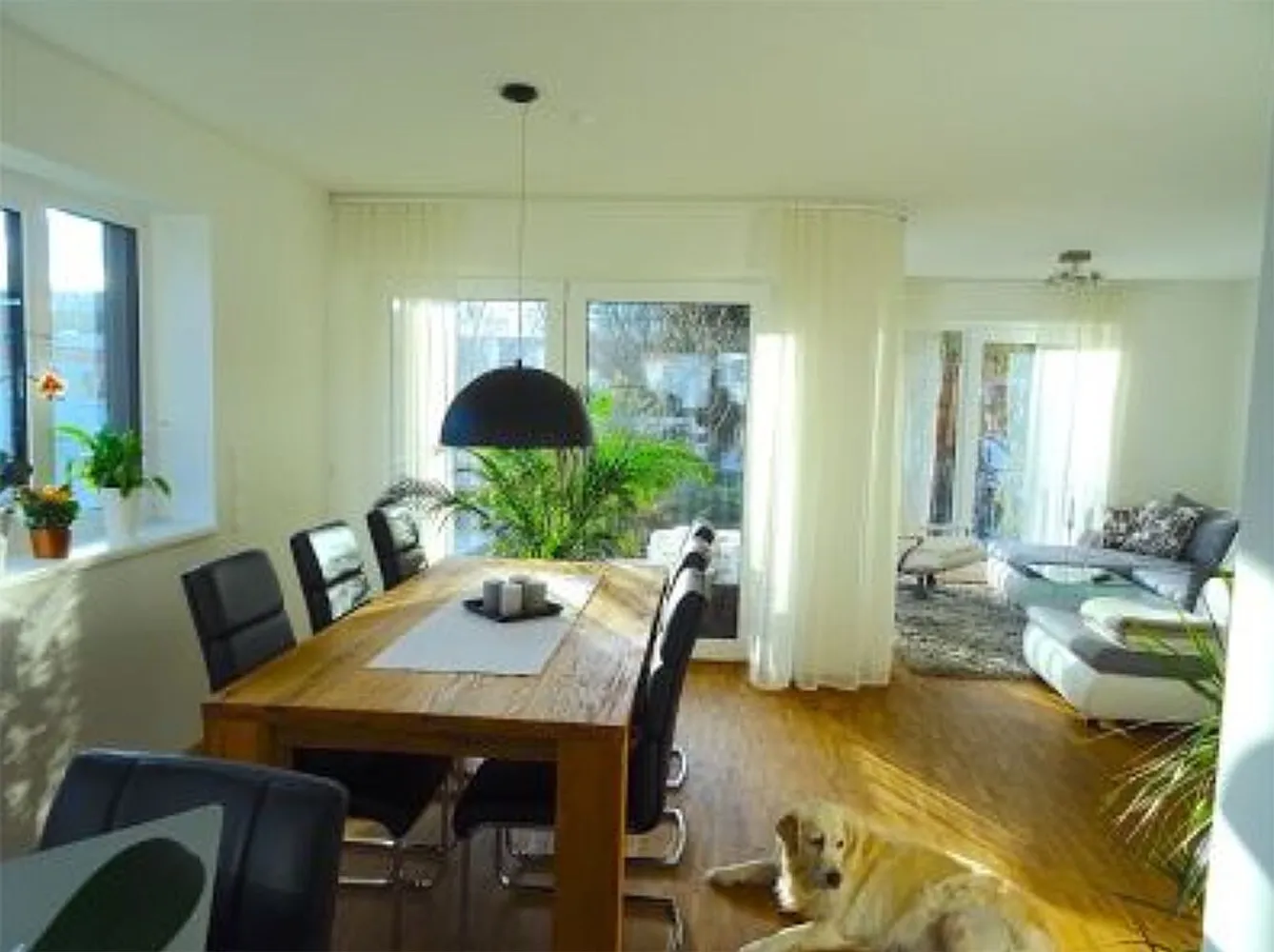 3 room apartment with 95 m² in Worms – Photo 3