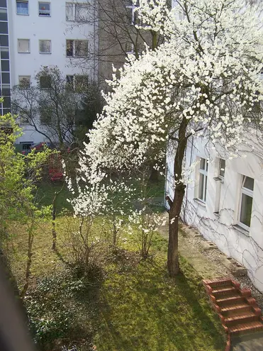 2 Zimmer Wohnung mit 64 m² in Berlin – Bild 7