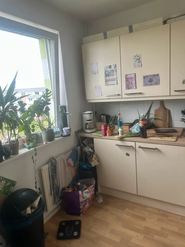 2 Zimmer Wohnung mit 45 m² in Delitzsch – Bild 10