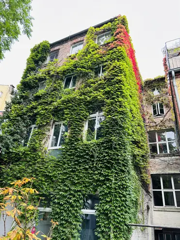 2 Zimmer Wohnung mit 50 m² in Hannover – Bild 5