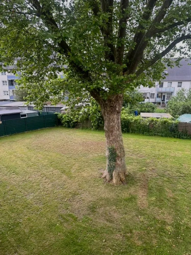 3 Zimmer Wohnung mit 63 m² in Gelsenkirchen – Bild 2