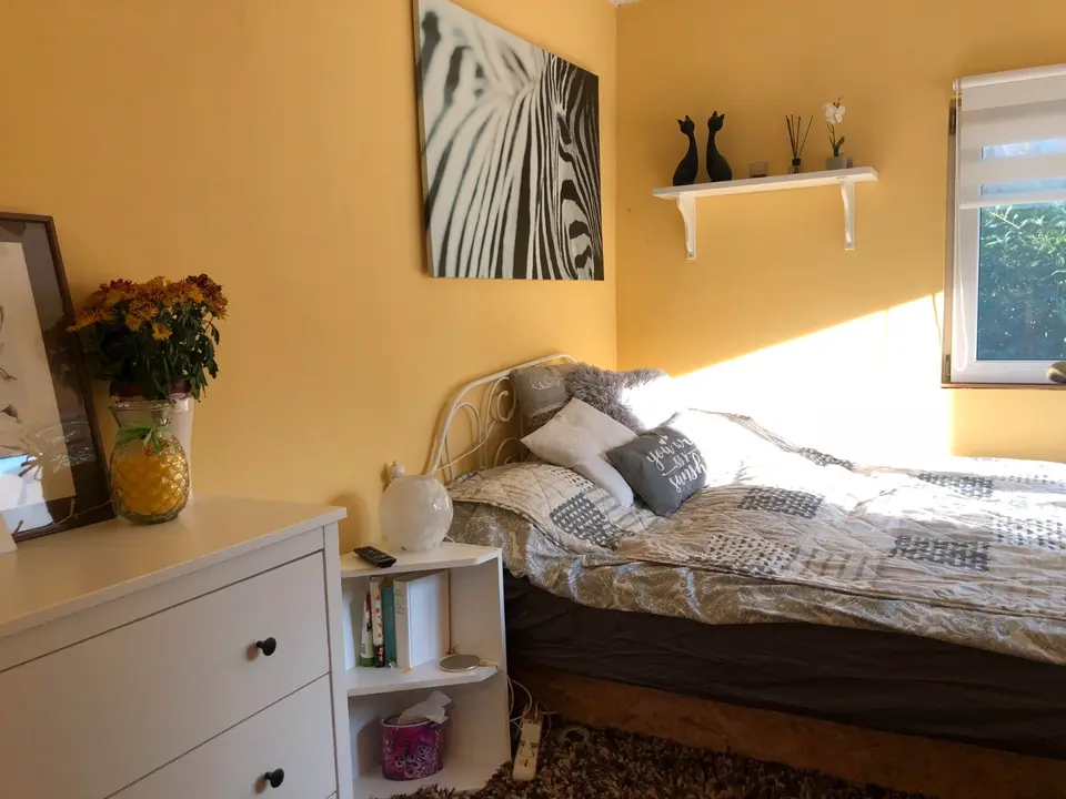 2 Zimmer Haus mit 45 m² in Mittweida – Bild 7