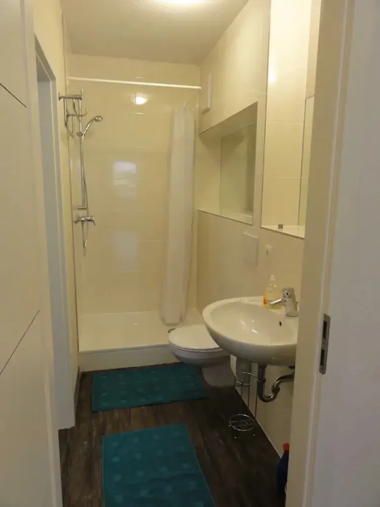 2 room apartment with 54 m² in Ludwigshafen am Rhein – Photo 6