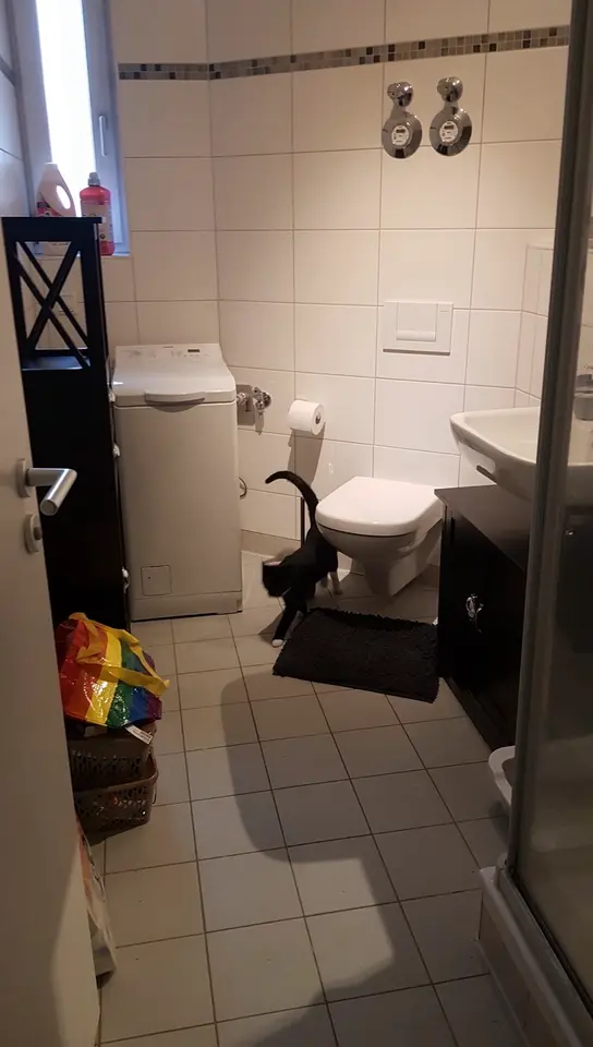 2 Zimmer Wohnung mit 52 m² in Halle (Saale) – Bild 8