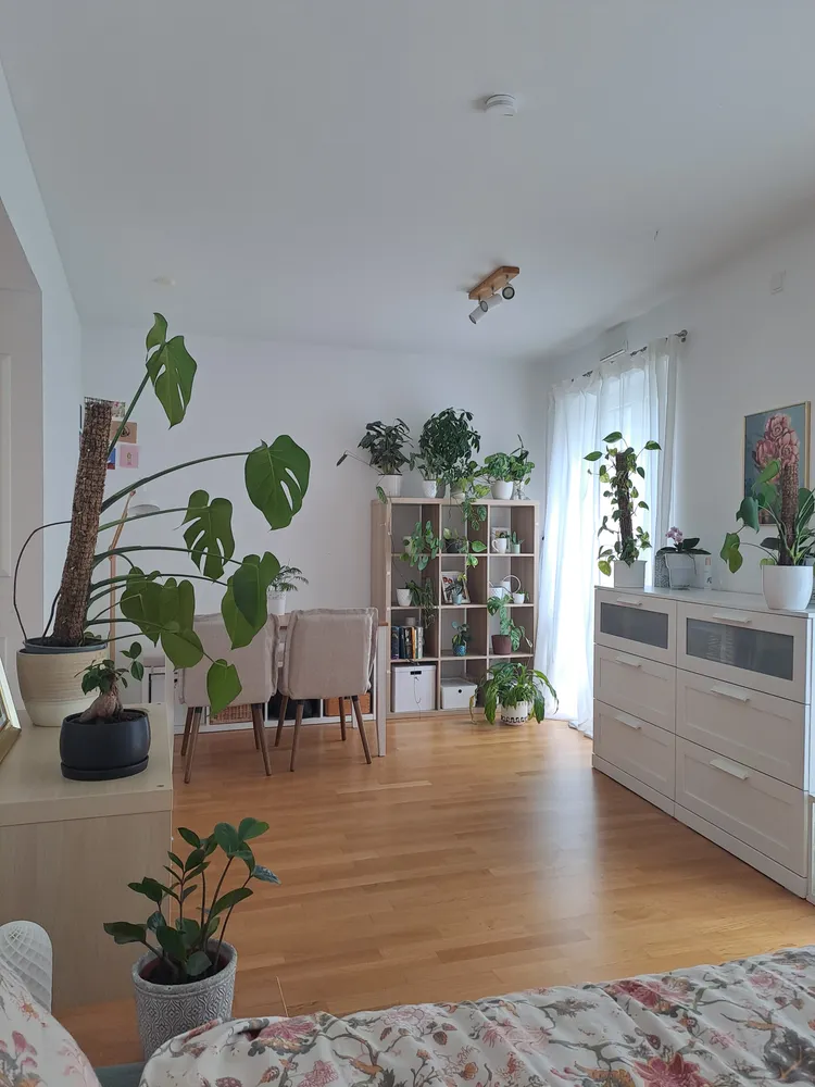 1 Zimmer Wohnung mit 31 m² in Regensburg – Bild 11