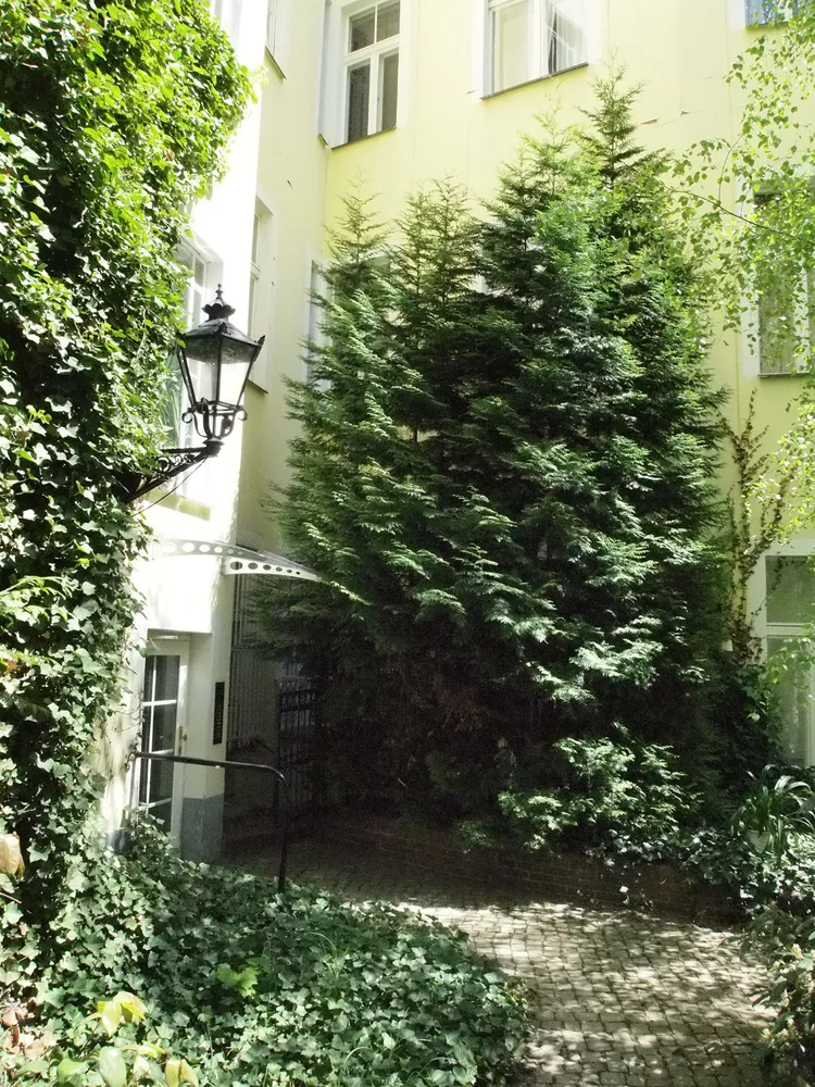 1 Zimmer Wohnung mit 38 m² in Berlin – Bild 5