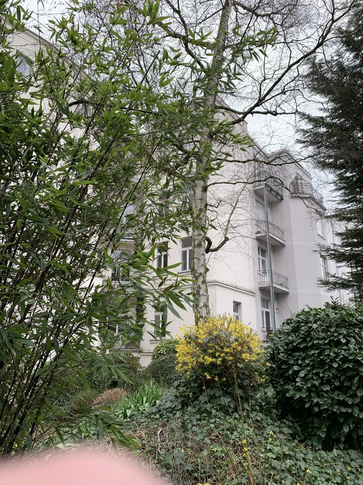5 Zimmer Wohnung mit 208 m² in Düsseldorf – Bild 4