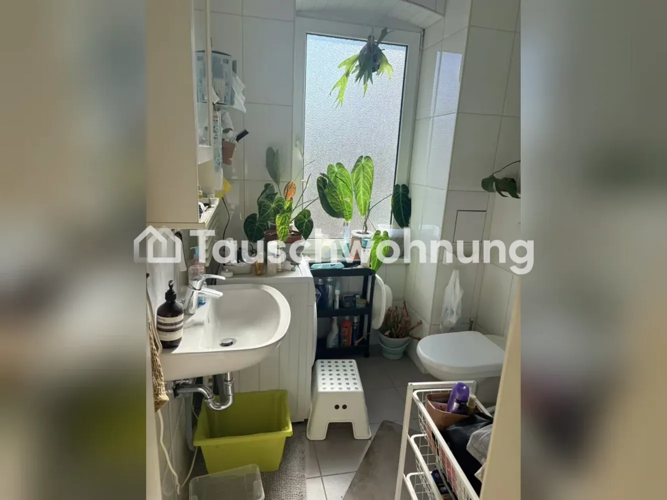 1 Zimmer Wohnung mit 50 m² in Erfurt – Bild 3