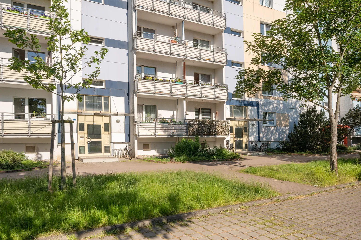 3 room apartment with 55 m² in Neubrandenburg – Photo 5