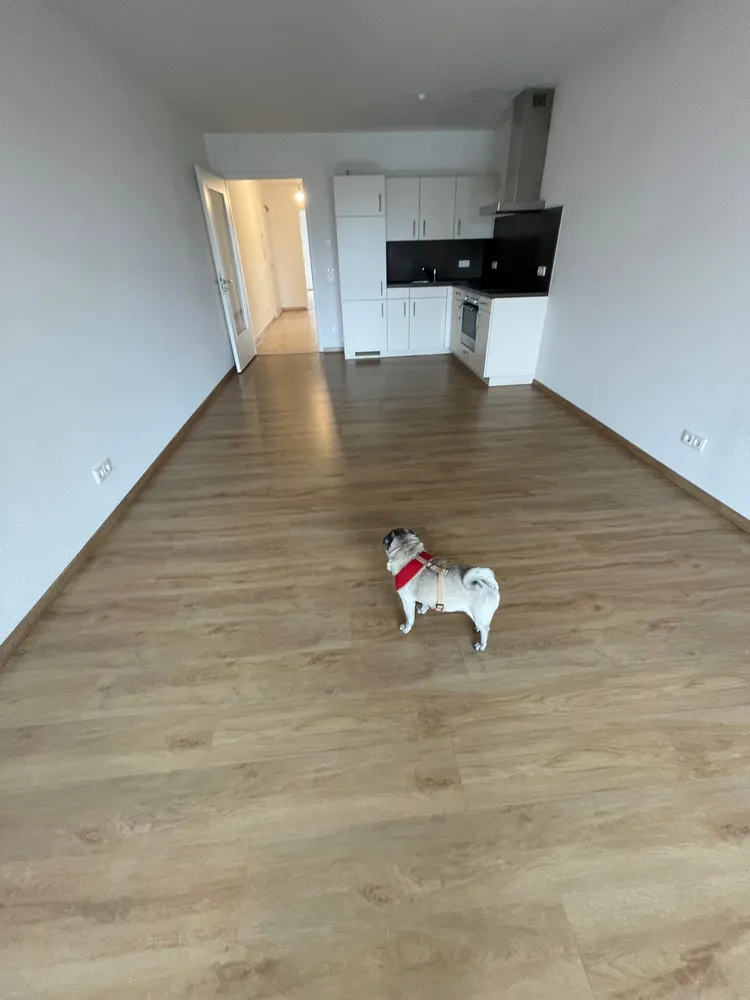 2 Zimmer Wohnung mit 66 m² in Frankfurt am Main – Bild 7