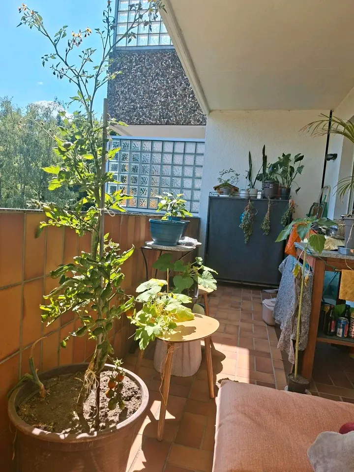 3 Zimmer Wohnung mit 68 m² in Herne – Bild 5