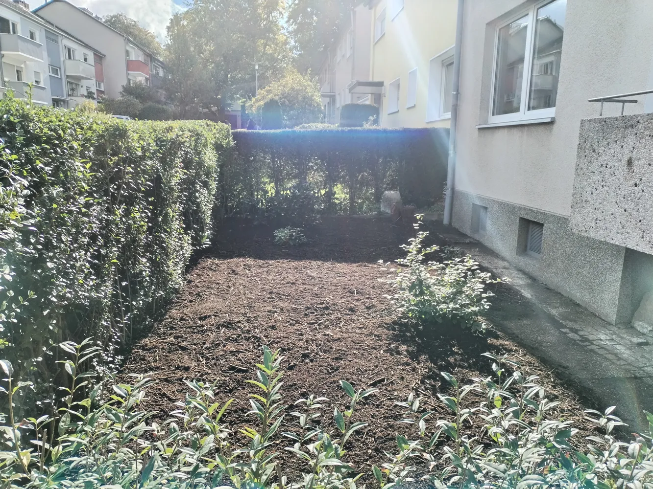 1 room apartment with 34 m² in Bergisch Gladbach – Photo 6