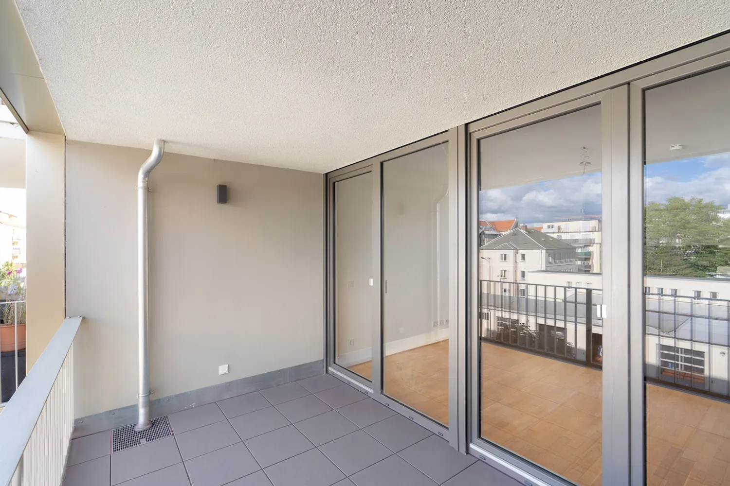 2 room apartment with 52 m² in Dresden – Photo 1