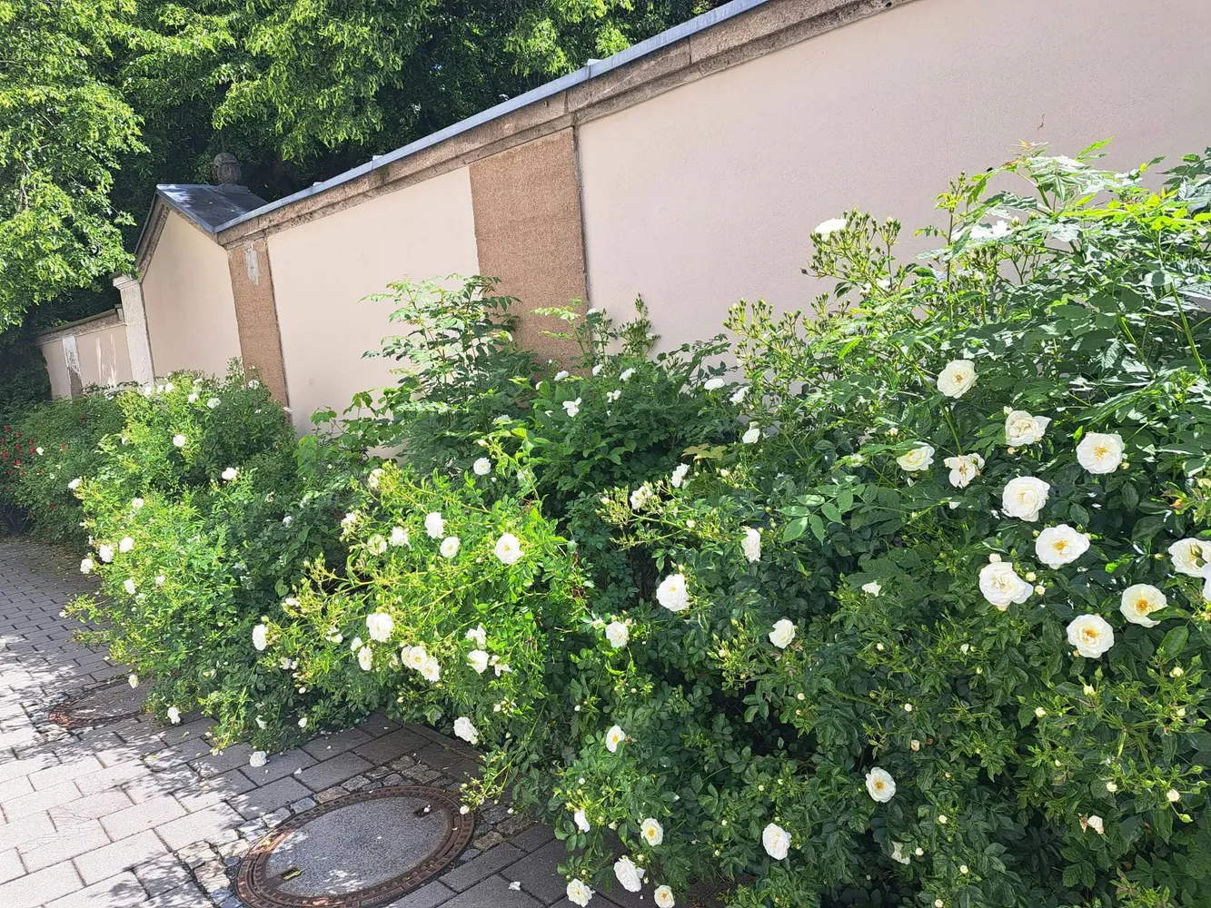 2 room apartment with 58 m² in Regensburg – Photo 3