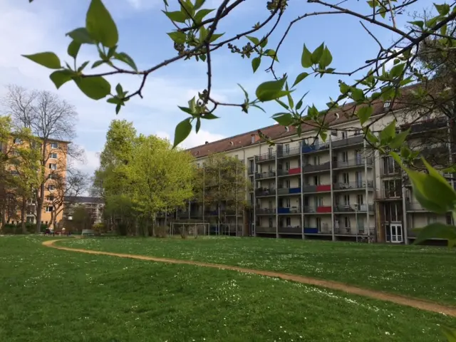 Studio mit 32 m² in Dresden – Bild 3