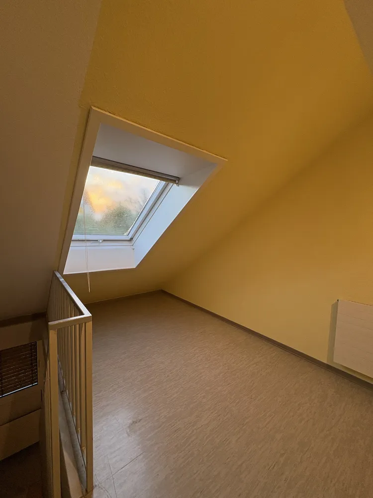 1 Zimmer Wohnung mit 29 m² in Kassel – Bild 1
