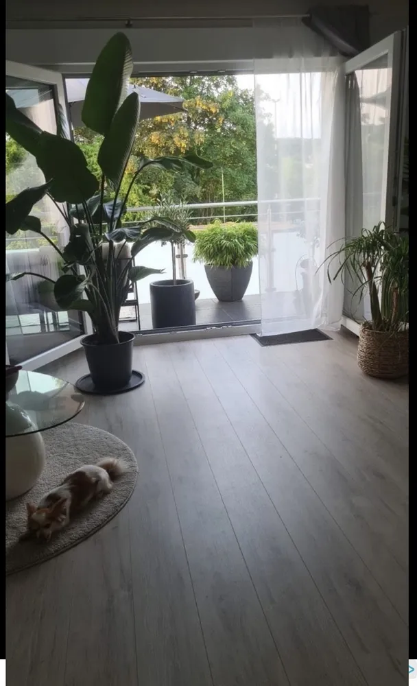 1 Zimmer Wohnung mit 49 m² in Wuppertal – Bild 2