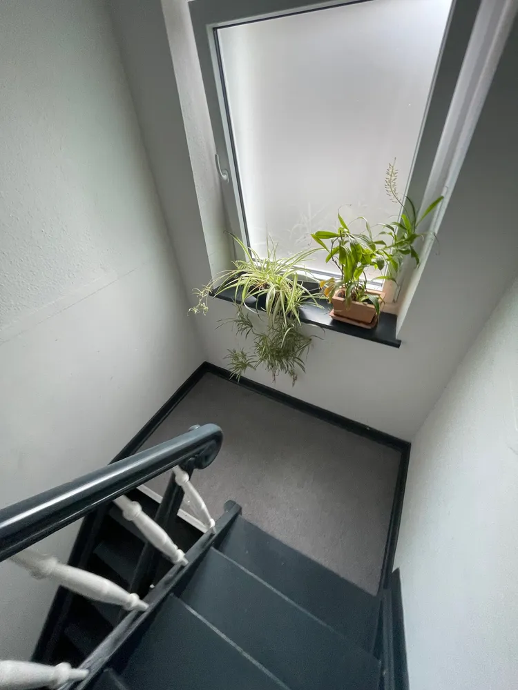 2 room apartment with 80 m² in Mönchengladbach – Photo 3