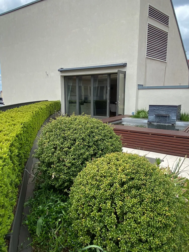 2 Zimmer Wohnung mit 78 m² in Dresden – Bild 7