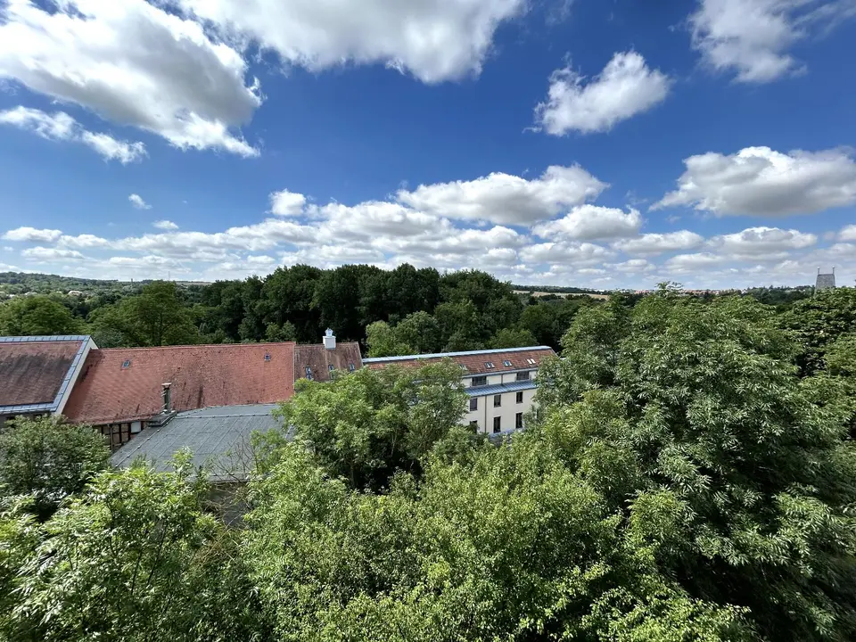 2 Zimmer Wohnung mit 33 m² in Weimar – Bild 4