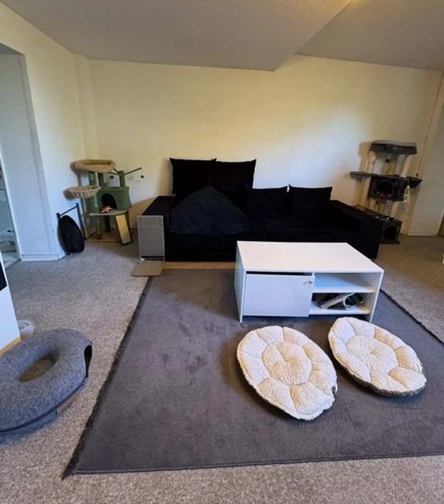 2 Zimmer Wohnung mit 50 m² in Aachen – Bild 3