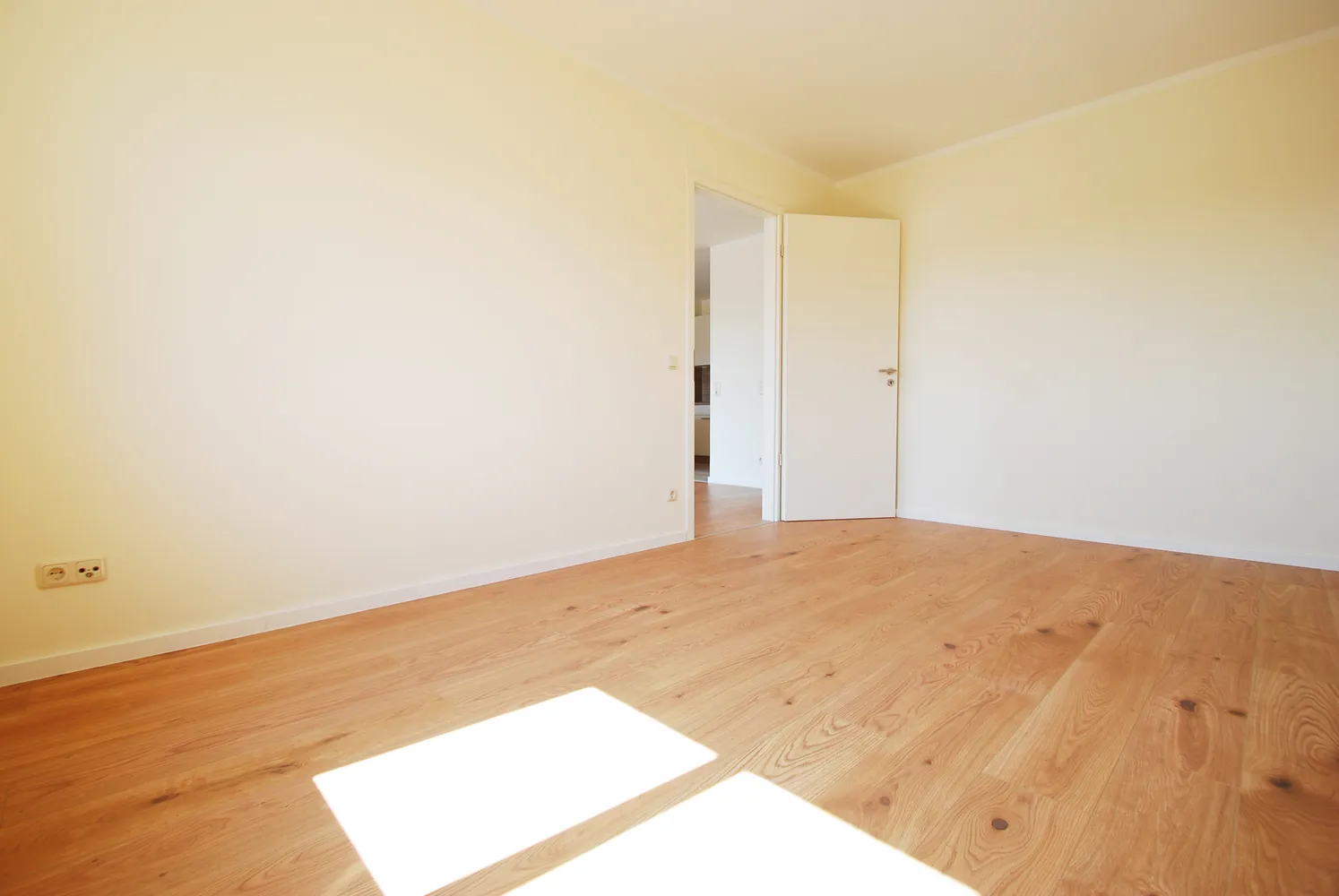 2 room apartment with 58 m² in Dresden – Photo 7