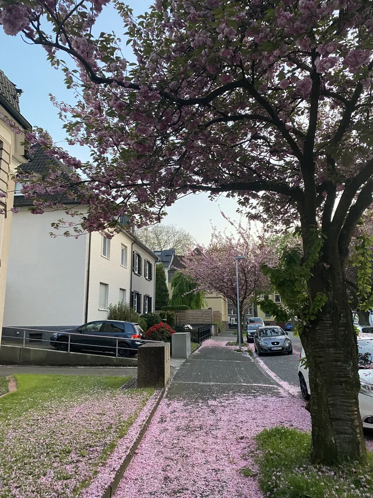 1 Zimmer Wohnung mit 25 m² in Bochum – Bild 3