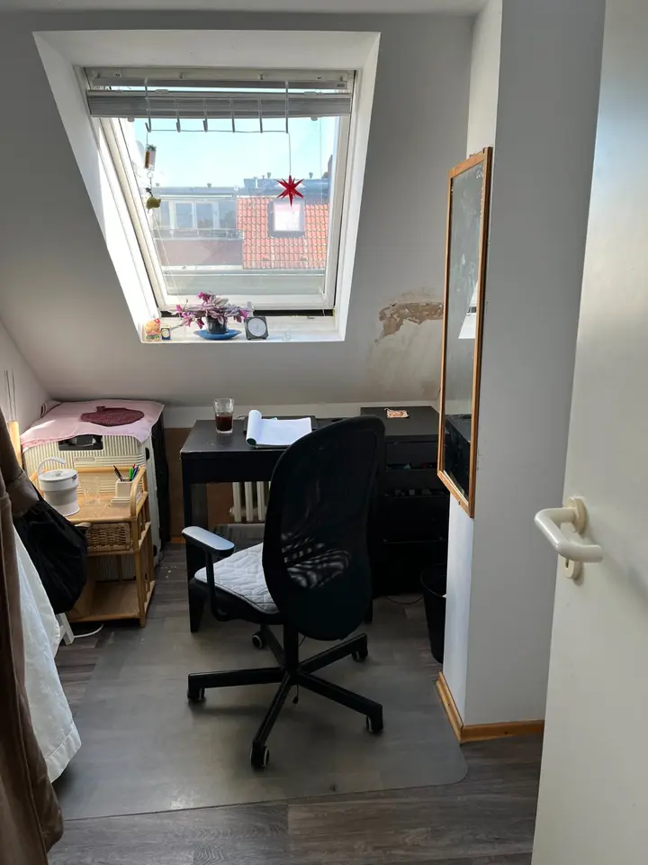 WG-Zimmer mit 100 m² in Berlin – Bild 9