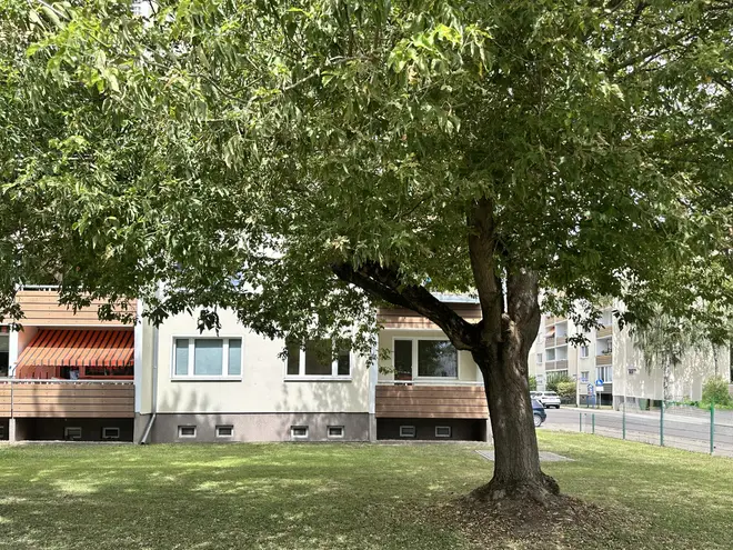 3 Zimmer Wohnung mit 60 m² in Magdeburg – Bild 1