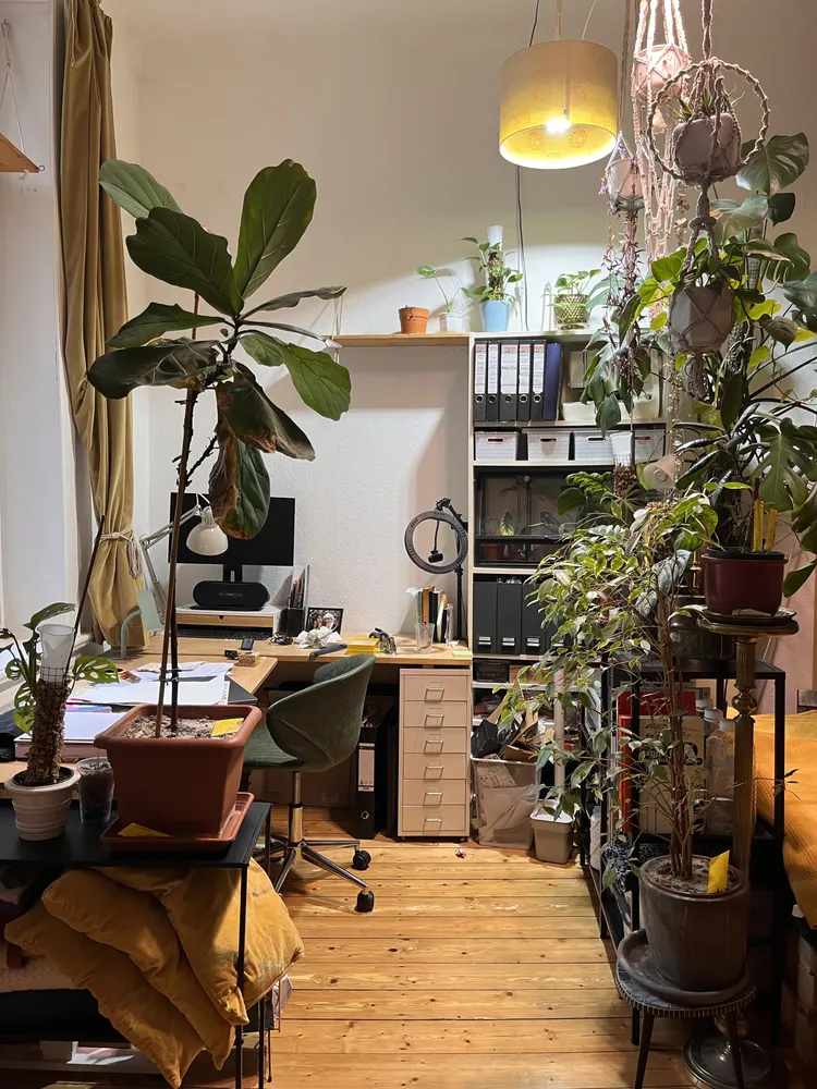 1 Zimmer Wohnung mit 22 m² in Hannover – Bild 1